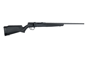 SAV B17F 17HMR BA RFL 10RD